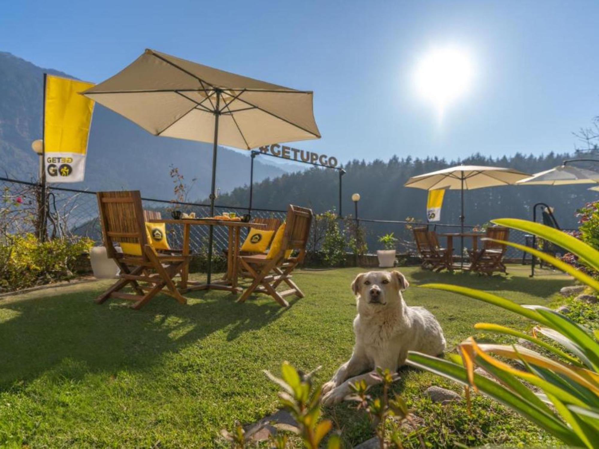 The Hosteller Manali, Old Manali ภายนอก รูปภาพ